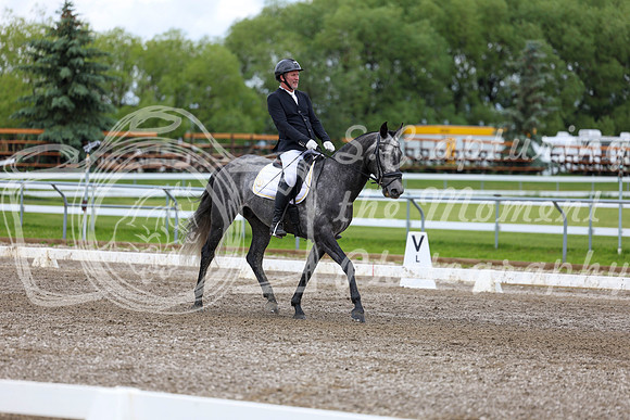 2025 - Dressage Festival - Sunday July 6th - 09874