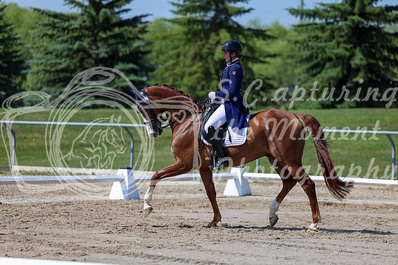 2025 - Dressage Festival - Saturday July 5th - 04270