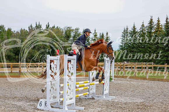 2025 - Haylee - Picco Horse Show - Friay July 25th 01767