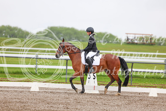 2025 - Dressage Festival - Sunday July 6th - 02997