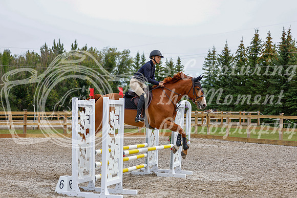 2025 - Haylee - Picco Horse Show - Friay July 25th 01768