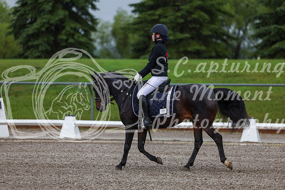 2025 - Dressage Festival - Sunday July 6th - 00021