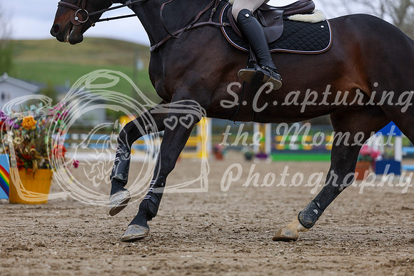 2025 - Shea - Bow Valley II - Thursday May 15th - 02819