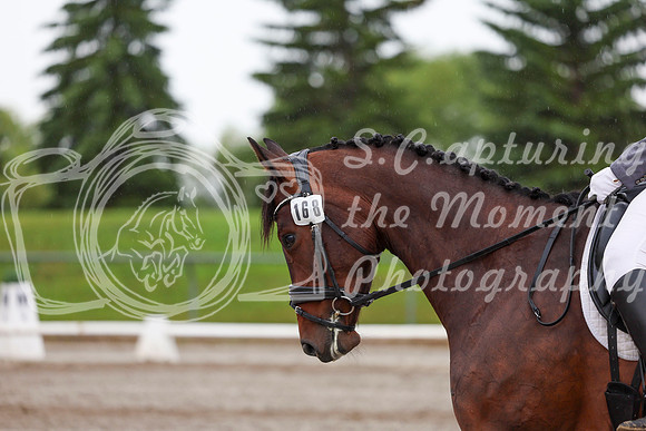 2025 - Dressage Festival - Sunday July 6th - 02400