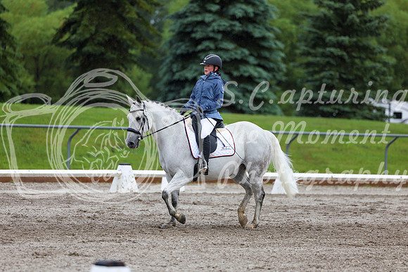 2025 - Dressage Festival - Sunday July 6th - 04831