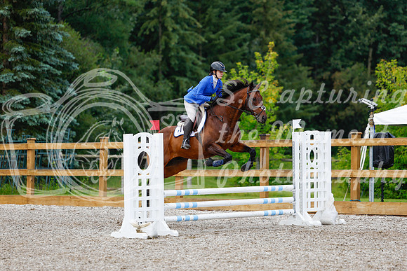 2025 - Haylee - Picco Horse Show - Sunday July 27th 01786