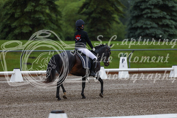 2025 - Dressage Festival - Sunday July 6th - 00163