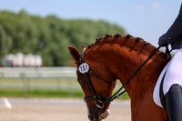2025 - Dressage Festival - Saturday July 5th - 06292