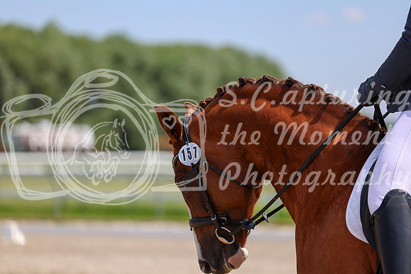 2025 - Dressage Festival - Saturday July 5th - 06292