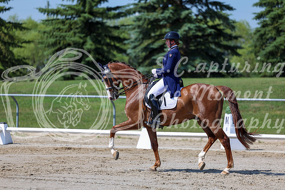 2025 - Dressage Festival - Saturday July 5th - 04262