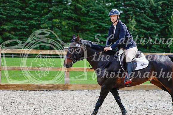 2025 - Haylee - Picco Horse Show - Sunday July 27th 03382
