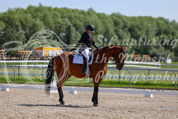 2025 - Dressage Festival - Saturday July 5th - 04316