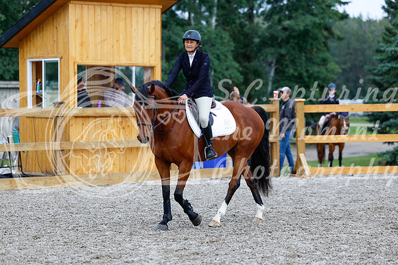 2025 - Haylee - Picco Horse Show - Saturday July 26th 00996
