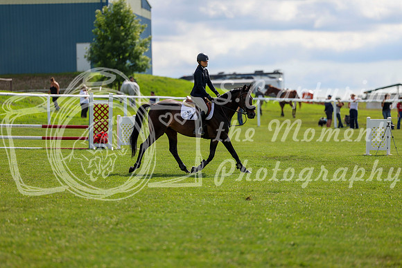 2025 - Shea - Teesdale - Friday July 25th - 04436