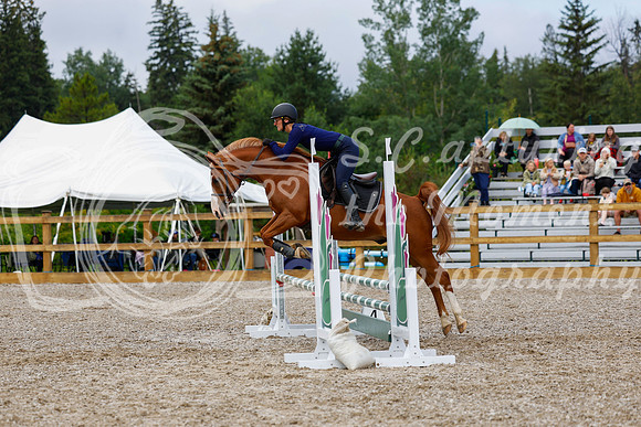 2025 - Haylee - Picco Horse Show - Sunday July 27th 01933
