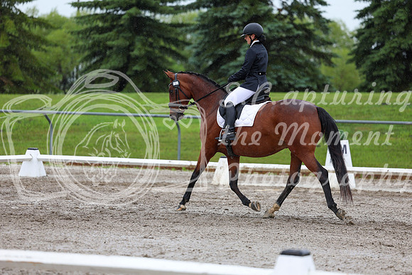 2025 - Dressage Festival - Sunday July 6th - 07818