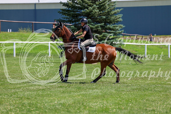 2025 - Shea - Teesdale - Thursday July 24th - 01452