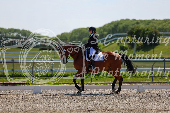2025 - Dressage Festival - Saturday July 5th - 04334