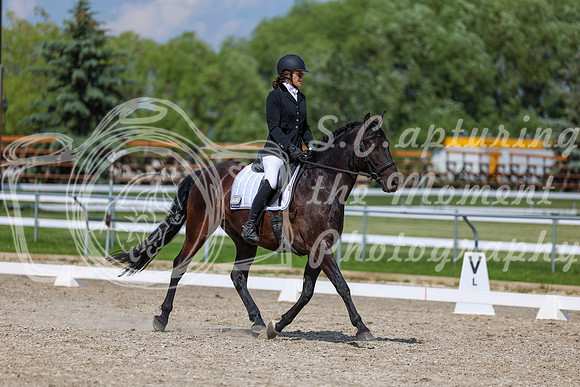 2025 - Dressage Festival - Saturday July 5th - 15223