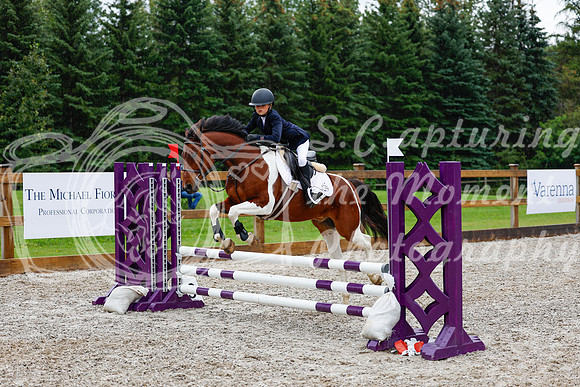 2025 - Haylee - Picco Horse Show - Sunday July 27th 01443
