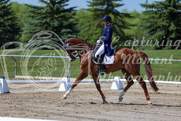 2025 - Dressage Festival - Saturday July 5th - 04272