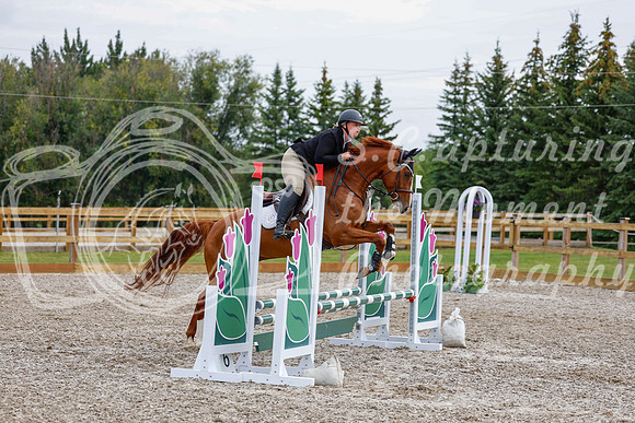 2025 - Haylee - Picco Horse Show - Saturday July 26th 02650