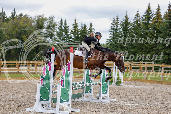 2025 - Haylee - Picco Horse Show - Saturday July 26th 04331