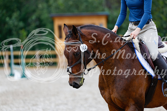2025 - Haylee - Picco Horse Show - Saturday July 26th 02026