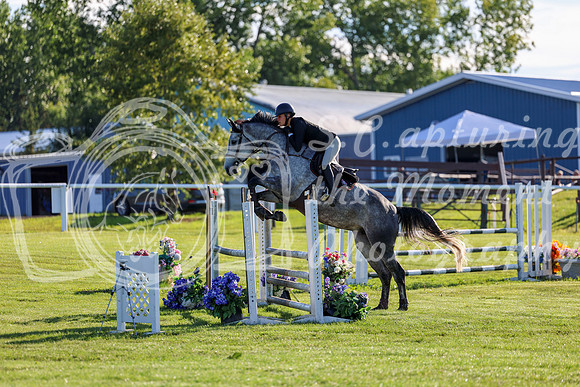 2025 - Shea - Teesdale - Friday July 25th - 03402