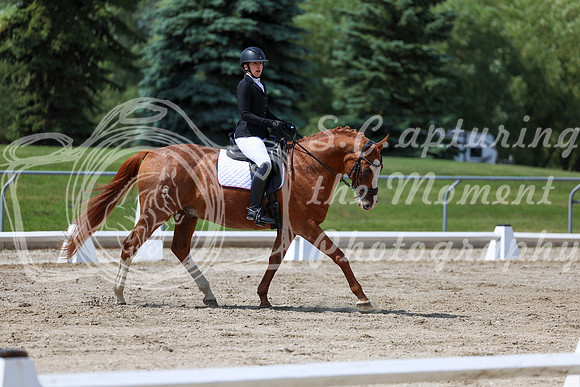 2025 - Dressage Festival - Saturday July 5th - 10145