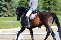2025 - Dressage Festival - Saturday July 5th - 00093