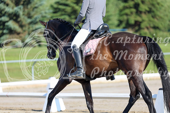 2025 - Dressage Festival - Saturday July 5th - 00093