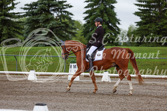 2025 - Dressage Festival - Sunday July 6th - 01332