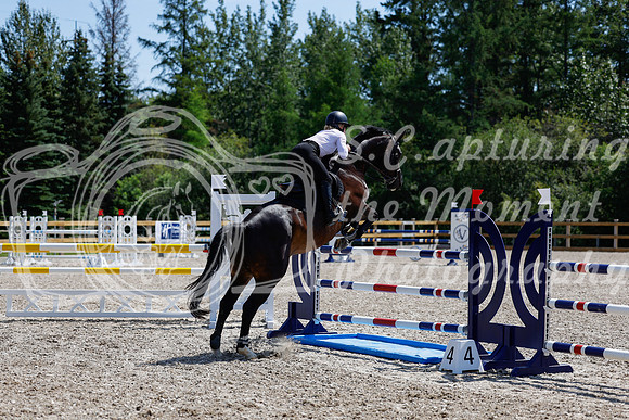 2025 - Haylee - Picco Horse Show - Thursday July 24th 04056