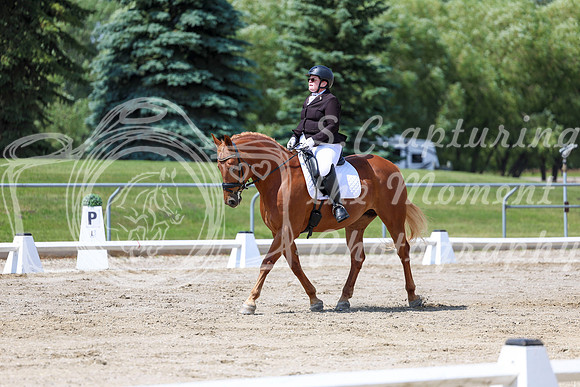 2025 - Dressage Festival - Saturday July 5th - 09323