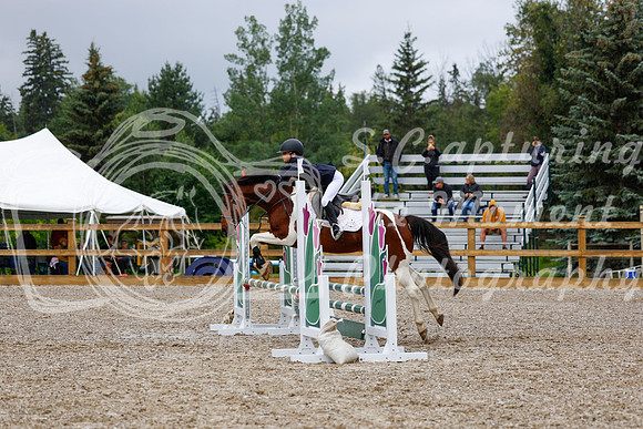 2025 - Haylee - Picco Horse Show - Sunday July 27th 01449