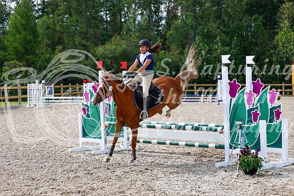 2025 - Haylee - Picco Horse Show - Thursday July 24th 01324