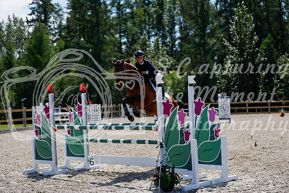 2025 - Haylee - Picco Horse Show - Thursday July 24th 03490