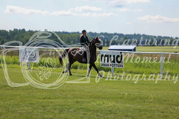 2025 - Shea - Teesdale - Friday July 25th - 03563