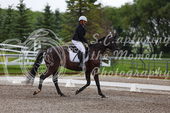 2025 - Dressage Festival - Sunday July 6th - 01263