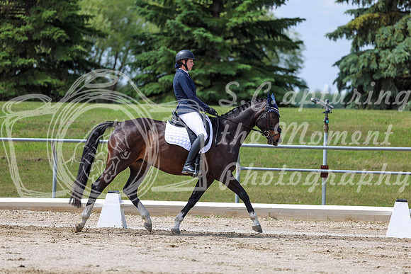 2025 - Dressage Festival - Saturday July 5th - 07559