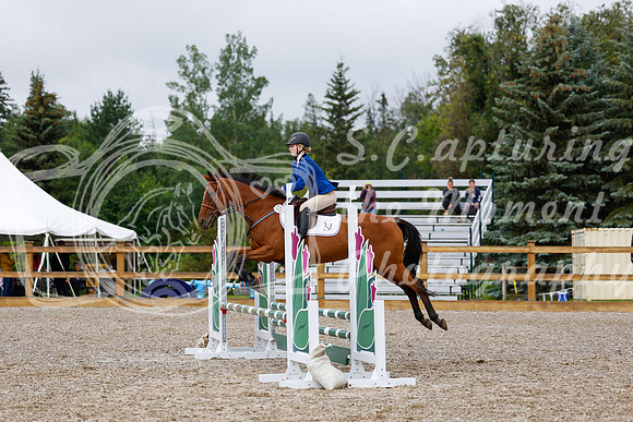2025 - Haylee - Picco Horse Show - Sunday July 27th 01152