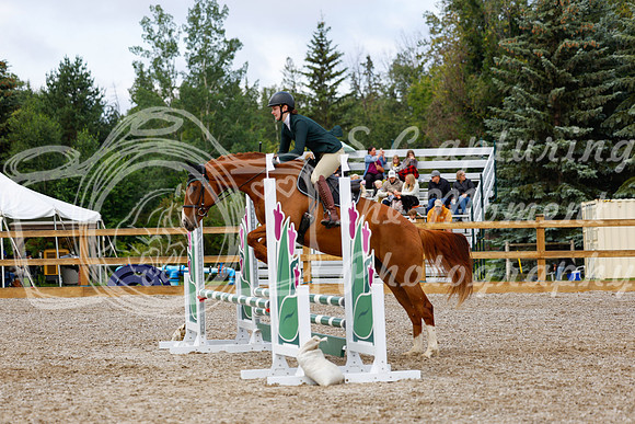 2025 - Haylee - Picco Horse Show - Sunday July 27th 02235