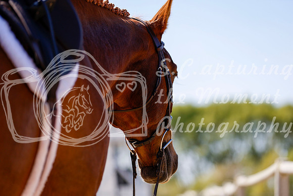 2025 - Chris - Edmonton Classic - Saturday, May 24th - 09505