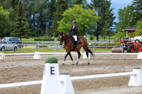 2025 - Dressage Festival - Sunday July 6th - 14397