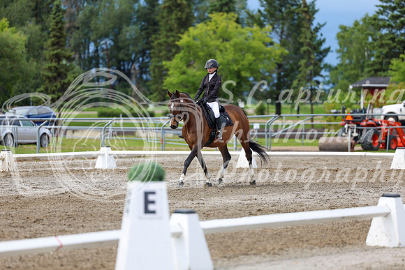 2025 - Dressage Festival - Sunday July 6th - 14397