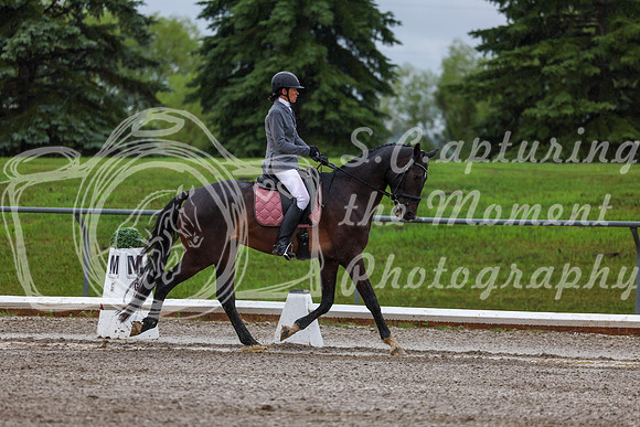 2025 - Dressage Festival - Sunday July 6th - 00642