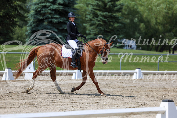 2025 - Dressage Festival - Saturday July 5th - 10148