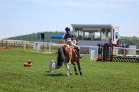 2025 - Shea - Teesdale - Thursday July 24th - 01906
