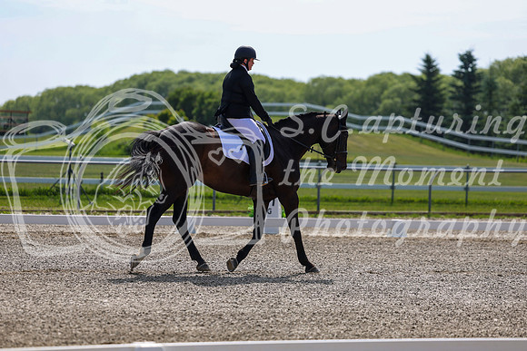 2025 - Dressage Festival - Saturday July 5th - 02965